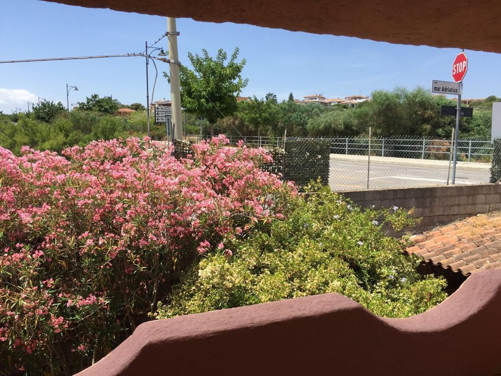 Il Fenicottero Rosa Βίλα Όλμπια Εξωτερικό φωτογραφία