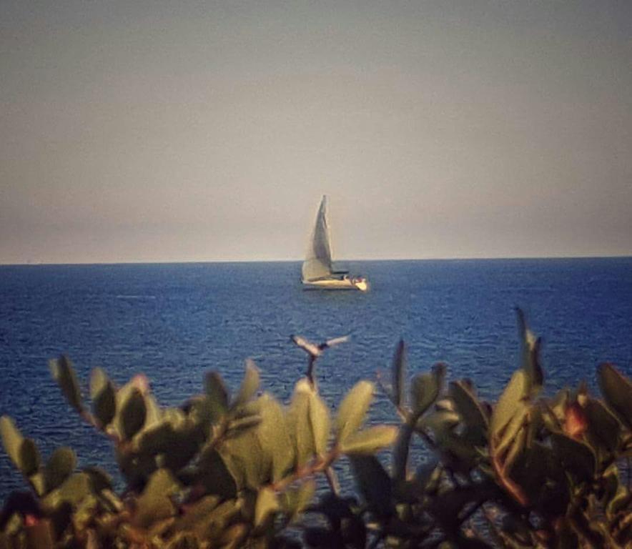 Il Fenicottero Rosa Βίλα Όλμπια Εξωτερικό φωτογραφία